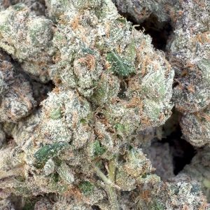 Elite Boutique Exotics Rapper Weed - Bulk - Hybrid