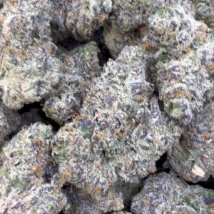 Pink Runtz Indoor - Bulk - Hybrid