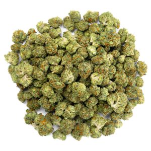 Gelato 41 - 28 Grams - Hybrid