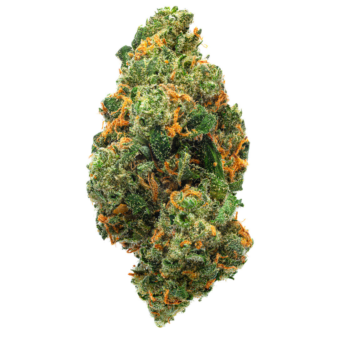 Jack Herer - Indoor - 14 Grams - Sativa - Image 3