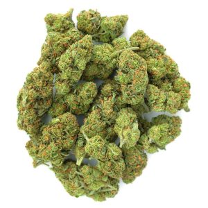 ZAZA - Josh D OG - Indoor - 28 Grams - IndicaZ
